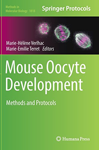 Mouse Oocyte Development: Methods and Protocols (Methods in Molecular Biology, Band 1818)