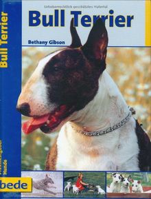 Bull Terrier, Praxisratgeber