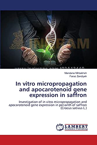 In vitro micropropagation and apocarotenoid gene expression in saffron: Investigation of in vitro micropropagation and apocarotenoid gene expression in perianth of saffron (Crocus sativus L.)