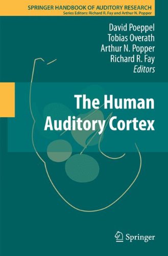 The Human Auditory Cortex (Springer Handbook of Auditory Research)