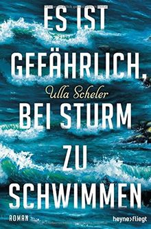 Es ist gefährlich, bei Sturm zu schwimmen: Roman