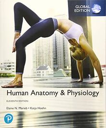 Human Anatomy & Physiology, Global Edition