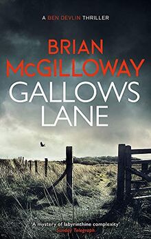 Gallows Lane: An ex con and drug violence collide in the borderlands of Ireland... (Ben Devlin, Band 2)