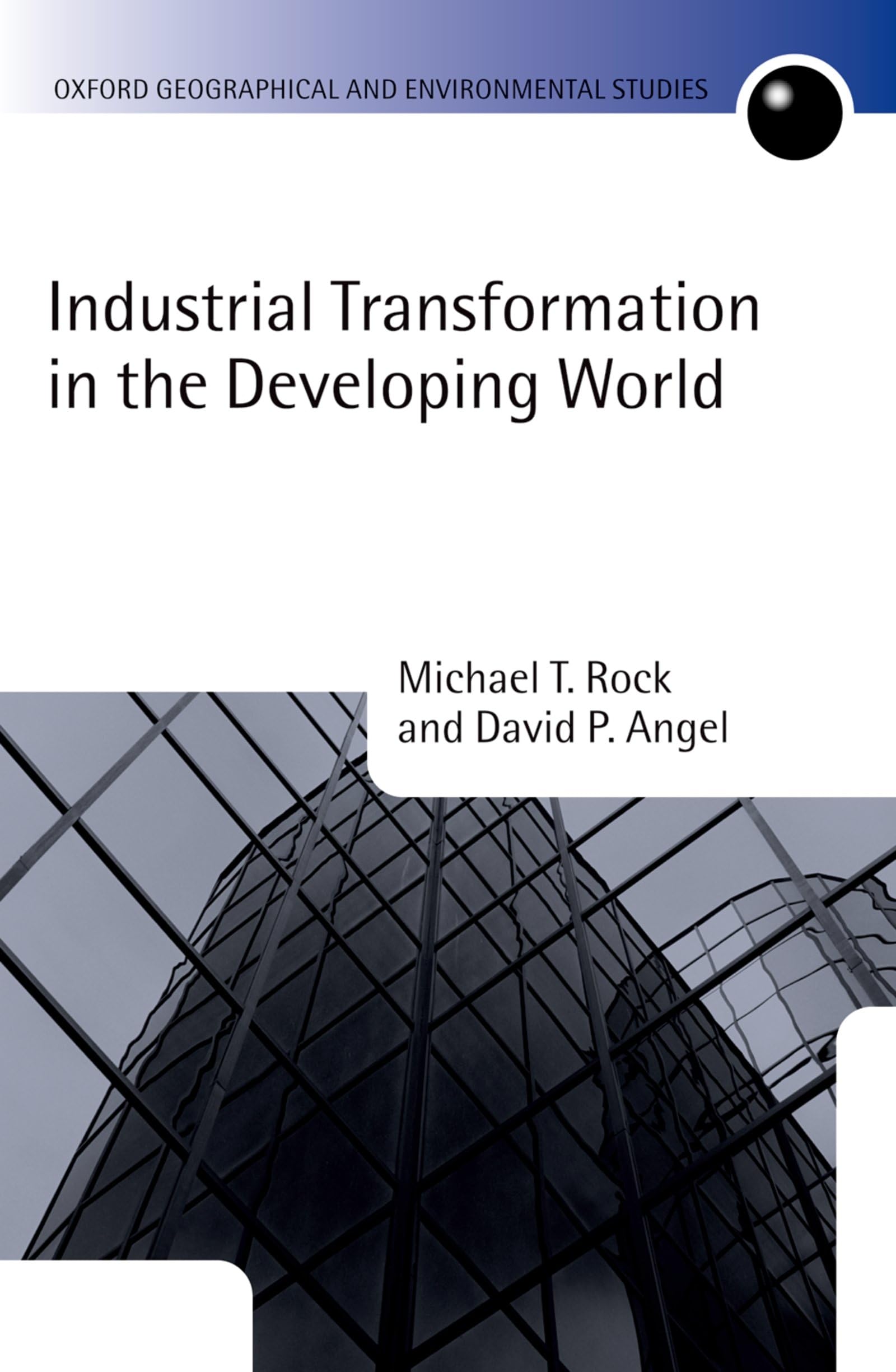 Industrial Transformation in the Developing World (Oxford Geographical And Environmental Studies Series)