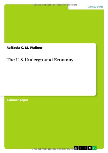The U.S. Underground Economy
