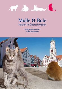 Mulle & Bole: Katzen in Oberschwaben