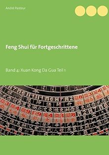 Feng Shui für Fortgeschrittene: Band 4: Xuan Kong Da Gua Teil 1