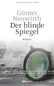 Der blinde Spiegel: Roman