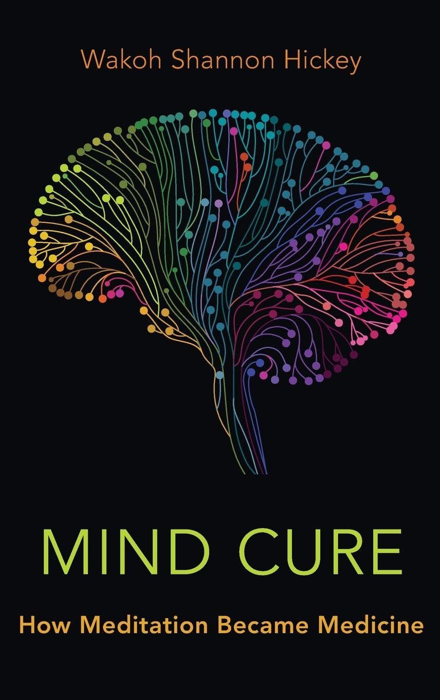 Mind Cure: How Meditation Became Medicine