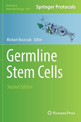 Germline Stem Cells (Methods in Molecular Biology)