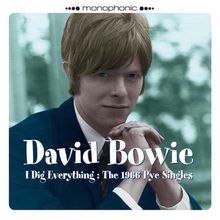 I Dig Everything/the 1966 Pye Singles