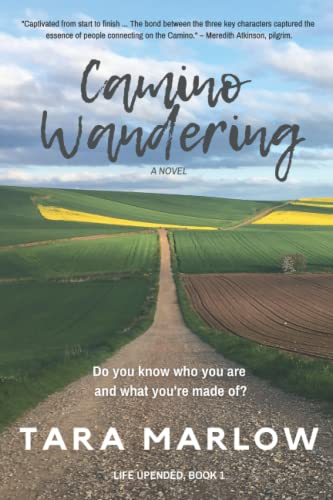 Camino Wandering (Life Upended)