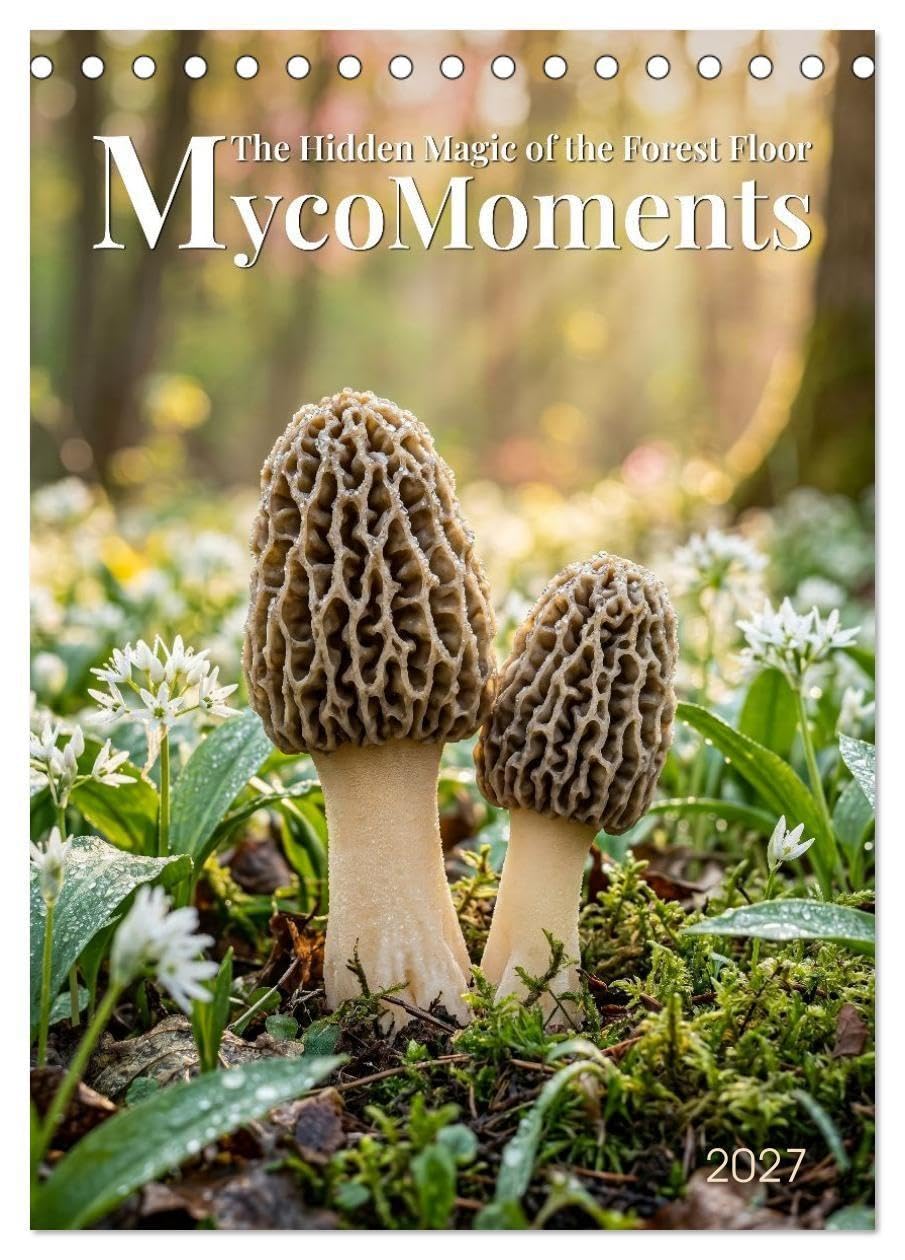 MycoMoments (Desk Calendar 2027 DIN A5 portrait), CALVENDO 12 Month DeskCalendar