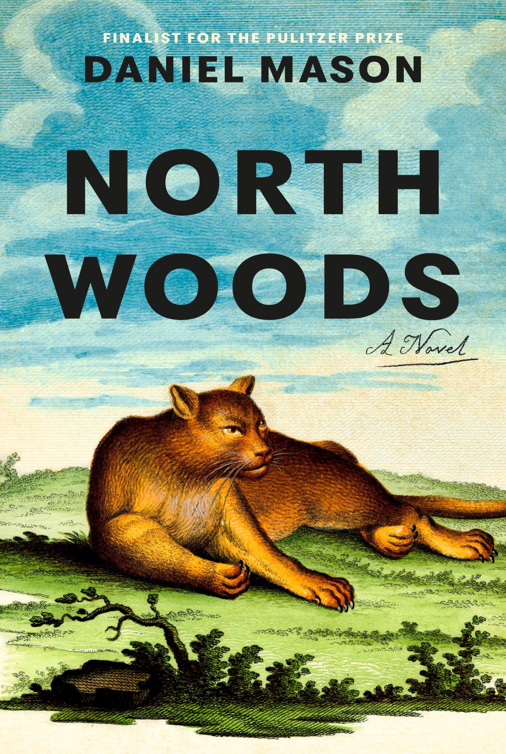 Daniel Mason North Woods, A Novel