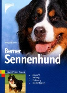 Berner Sennenhund: Auswahl, Haltung, Erziehung, Beschäftigung