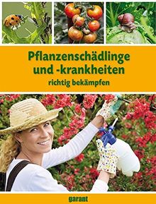 Pflanzenschädlinge und -krankheiten richtig bekämpfen