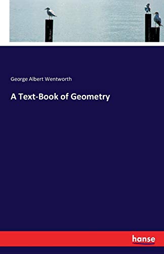 A Text-Book of Geometry - George Albert Wentworth Kartoniert (TB)