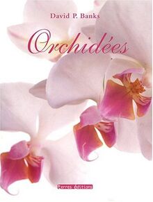 Orchidées