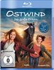 Ostwind - Der große Orkan [Blu-ray]