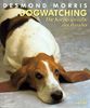 Dogwatching. Die Körpersprache des Hundes