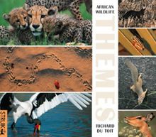 African Wildlife Themes