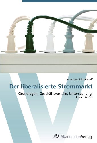 Der liberalisierte Strommarkt: Grundlagen, Geschäftsvorfälle, Untersuchung, Diskussion