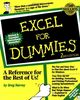Excel For Dummies 2nd Edition