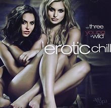 Erotic Chill Vol.3