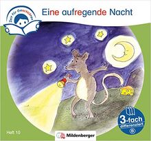 Zeit für Geschichten – 3-fach differenziert, Heft 10: Eine aufregende Nacht – B