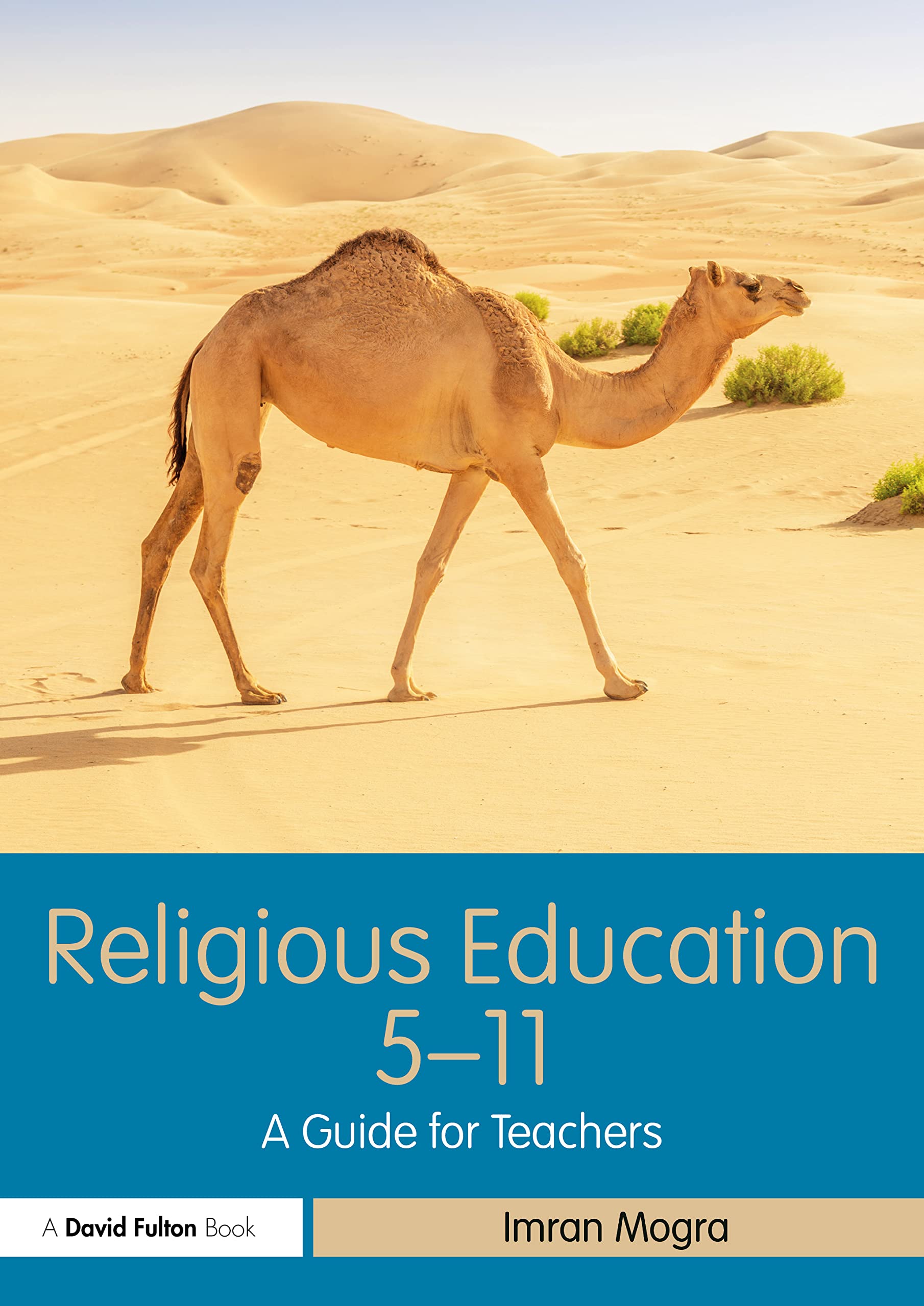 Religious Education 5-11: A Guide for Teachers (5-11 Series)