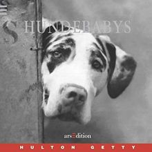 Hundebabys von Hulton Getty | Buch | Zustand sehr gut