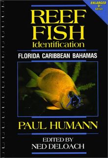 Reef Fish Identification: Florida, Caribbean, Bahamas