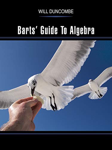 Barts Guide To Algebra