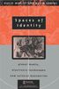 Spaces of Identity: Global Media, Electronic Landscapes and Cultural Boundaries (International Library of Sociology)