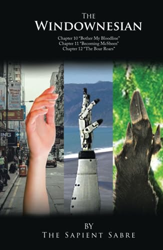 The Windownesian: Ch 10-12