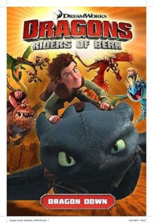 DreamWorks' Dragons: Riders of Berk - Volume 1: Dragon Down (How to Train Your Dragon TV) von Furman, Simon | Buch | Zustand sehr gut