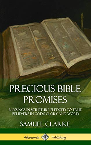 Precious Bible Promises: Blessings in Scripture Pledged to True Believers in God's Glory and Word (Hardcover)