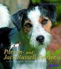 Parson- und Jack Russell Terrier: Große Hunde im kleinen Körper