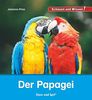 Der Papagei: Schauen und Wissen!