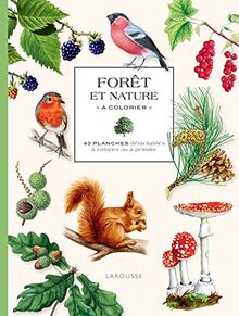 Forêt et nature à colorier : 40 planches détachables à colorier ou à peindre