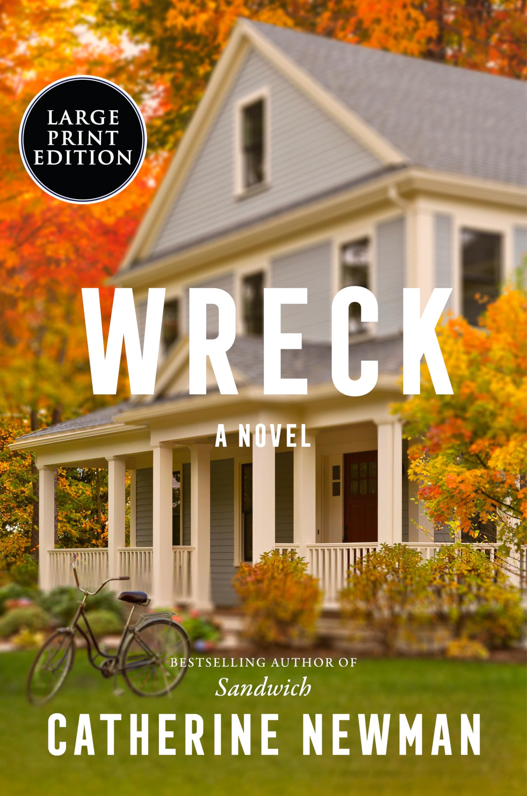 Wreck: A GMA Book Club Pick