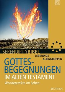 Gottesbegegnungen im Alten Testament: Wendepunkte im Leben