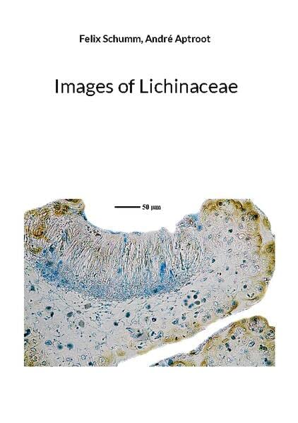 Images of Lichinaceae: DE