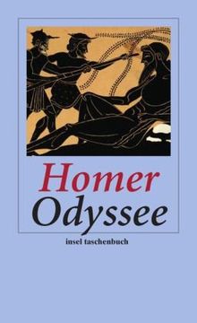 Odyssee (insel taschenbuch)