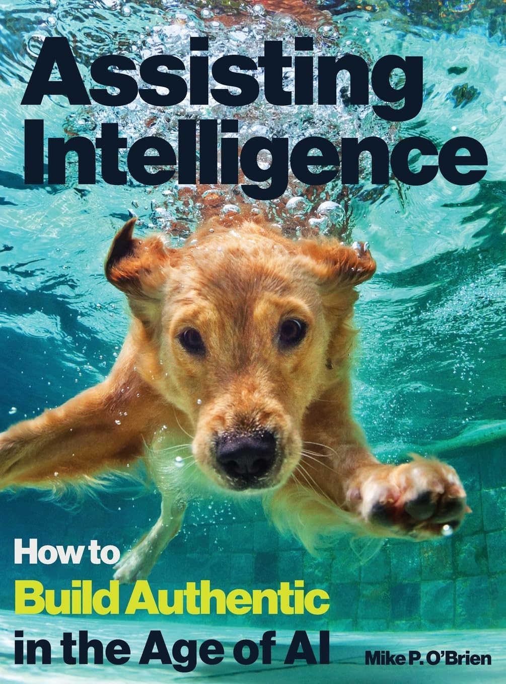 Assisting Intelligence: How to Build Authentic in the Age of AI ...