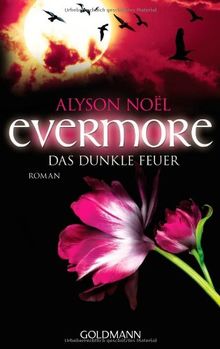 Evermore 4 - Das dunkle Feuer: Roman