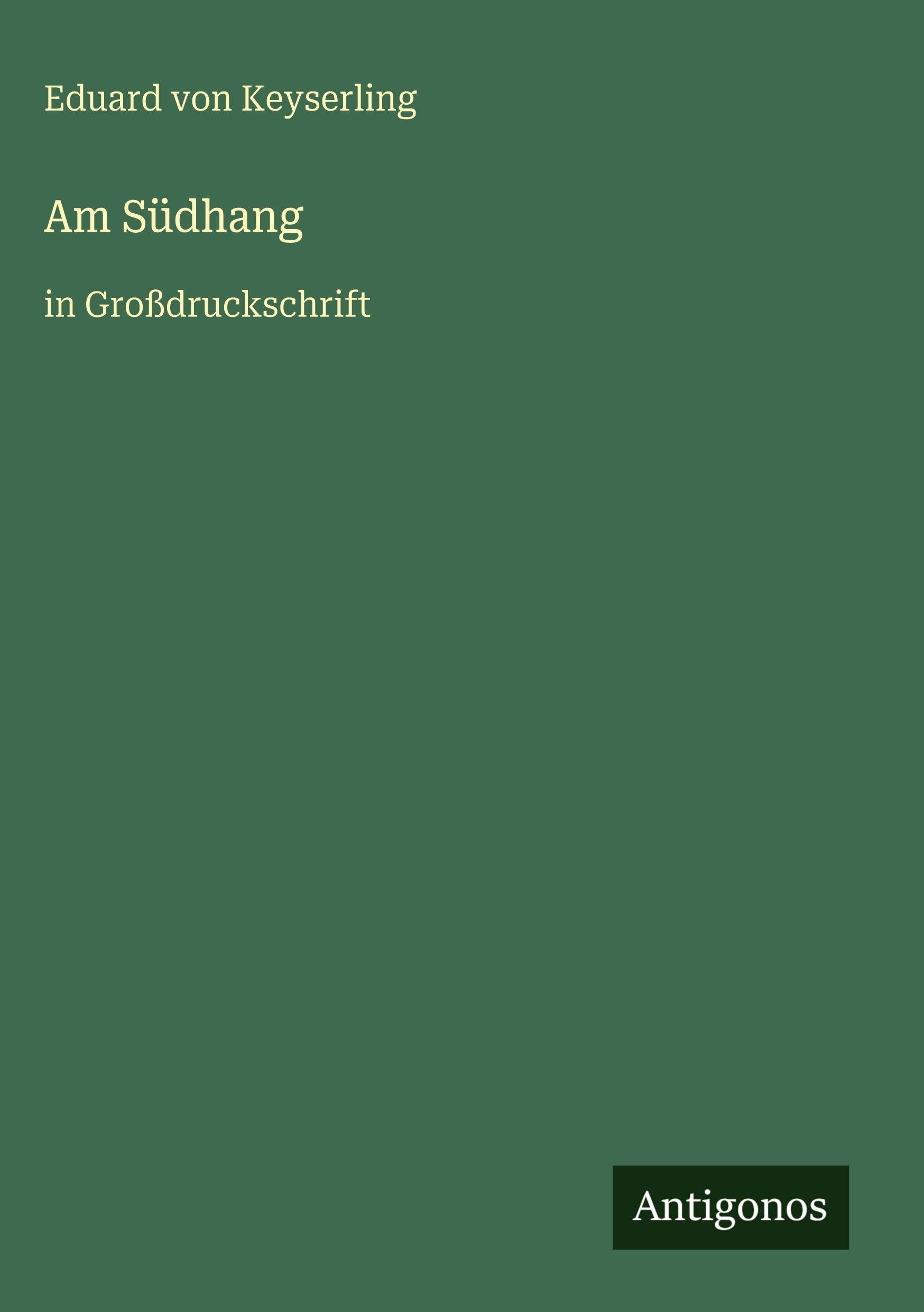 Am Südhang: in Großdruckschrift
