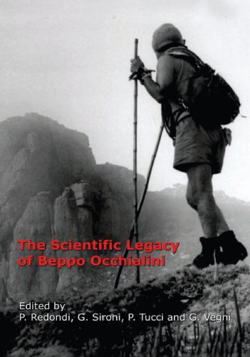 The Scientific Legacy of Beppo Occhialini