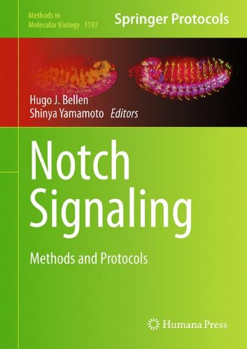 Notch Signaling: Methods and Protocols (Methods in Molecular Biology)