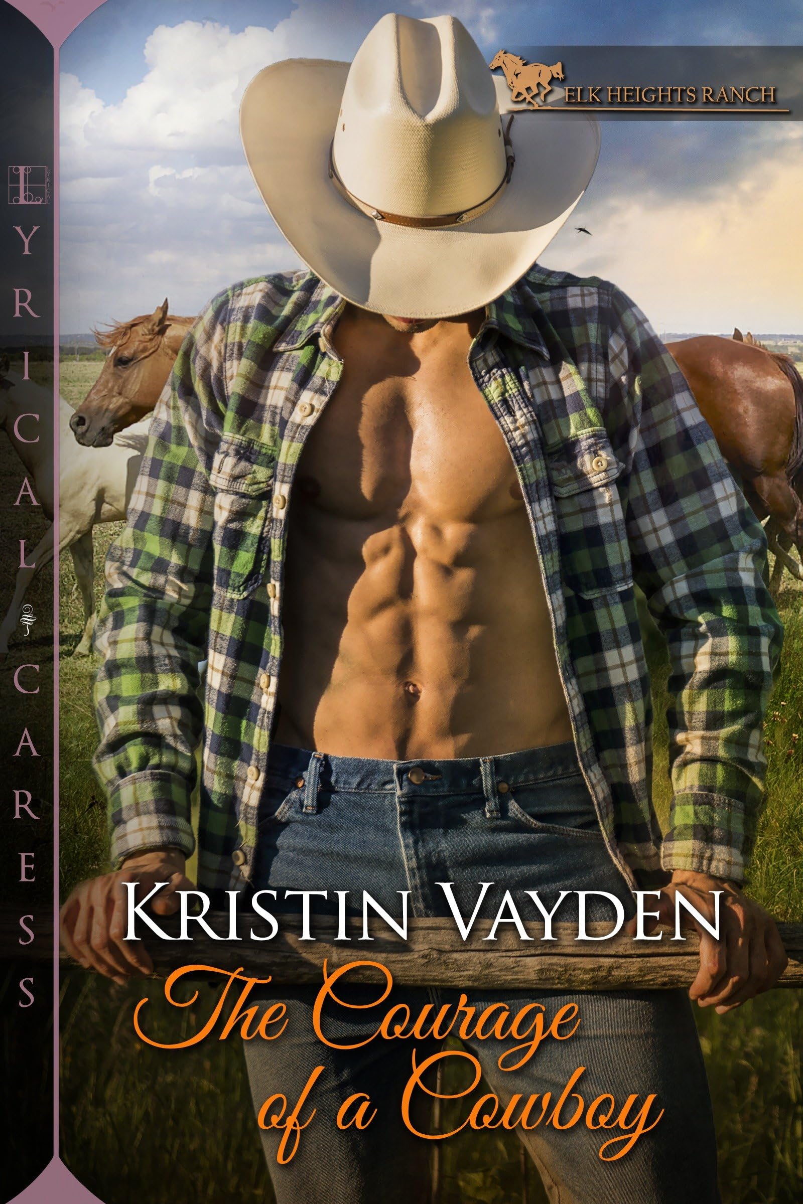 The Courage of a Cowboy (Elk Heights Ranch, Band 2)